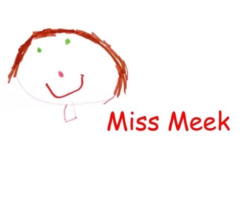 MISS L MEEK Aberbargoed Primary School