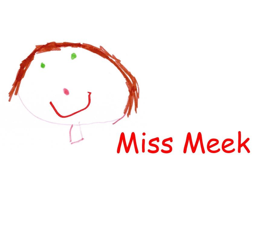MISS L MEEK Aberbargoed Primary School